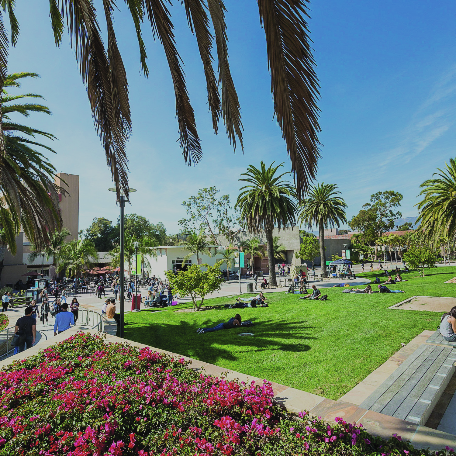 Photo of UCSB Campus