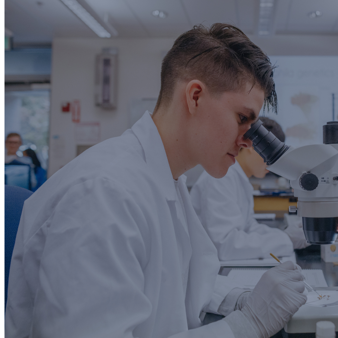 Exploring Majors & Career Paths