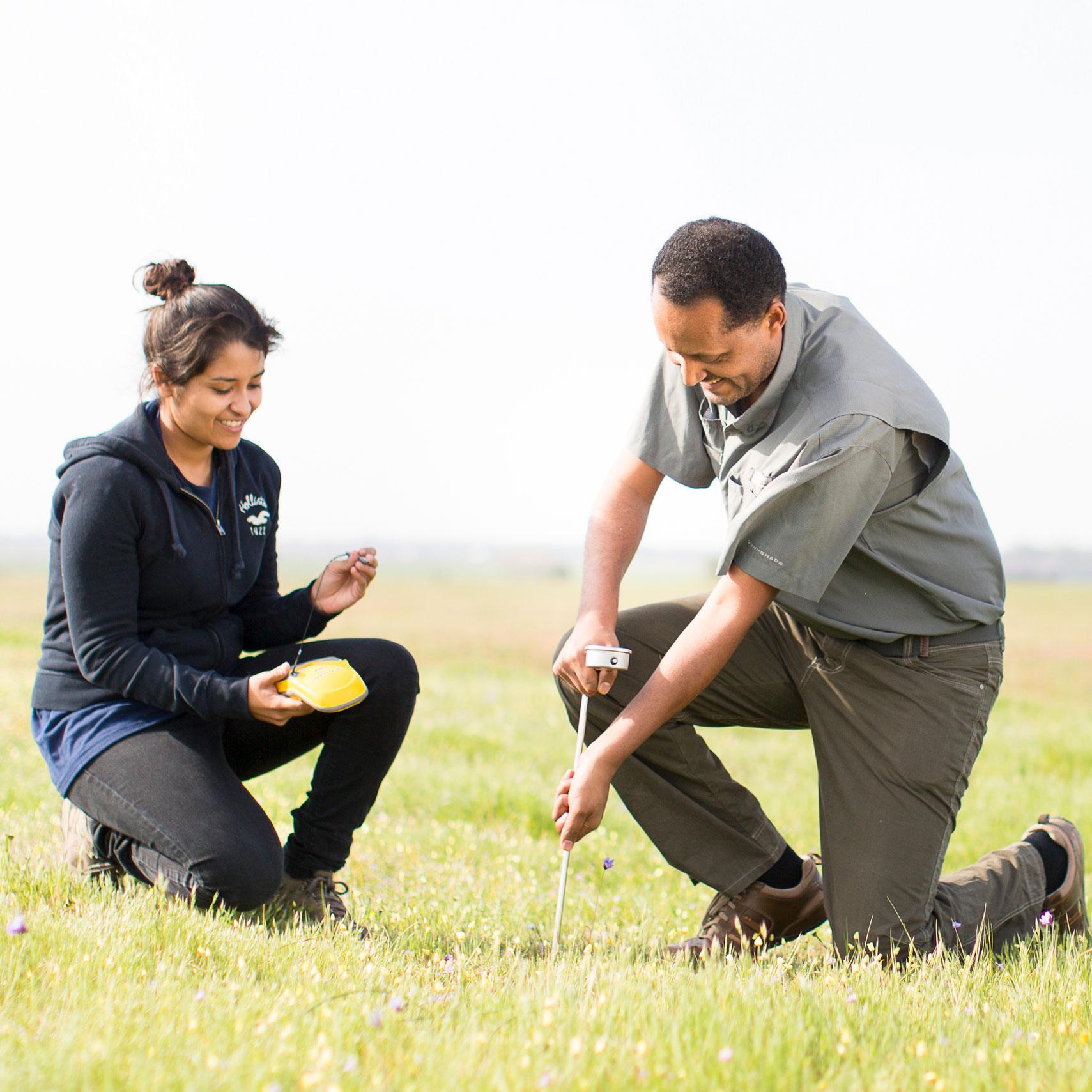 people working in the field